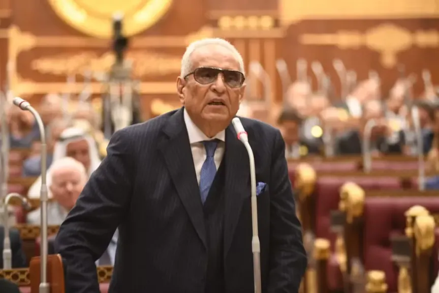 مجلس الشيوخ يوصى بإصدار تشريع لإنشاء هيئة وطنية لتجديد الخطاب الدينى
