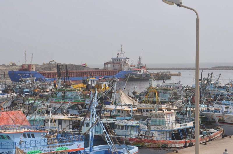 توقف حركة الملاحة في ميناء الصيد والبحر المتوسط بكفر الشيخ