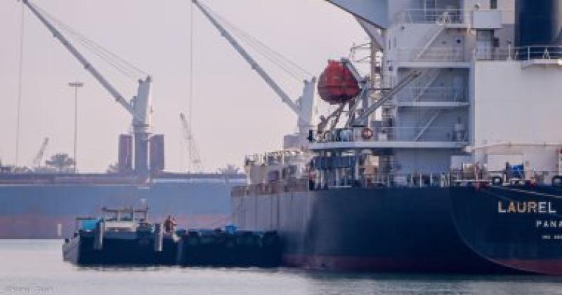 ميناء دمياط يستقبل 7 سفن متنوعة خلال 24 ساعة