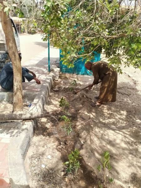 محافظ أسيوط: تنفيذ أعمال تشجير وزراعة شتلات بمركز الغنايم ضمن مبادرة ”زراعة 100مليون شجرة
