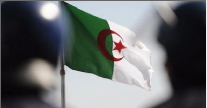   الجزائر 