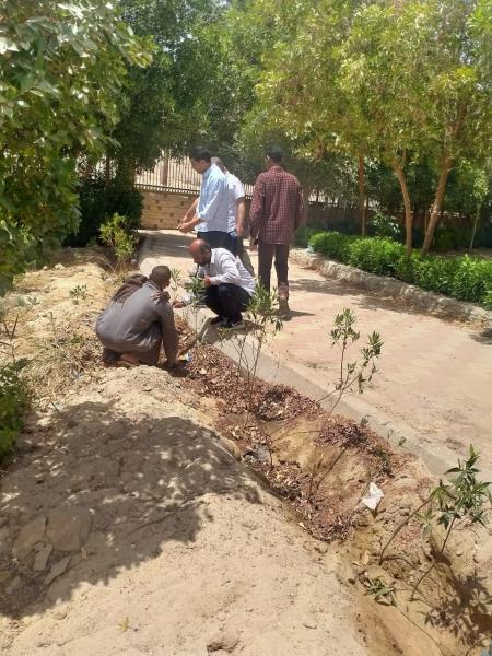 محافظ أسيوط يتابع جهود الوحدات المحلية في تنفيذ مبادرة 100 مليون شجرة وزراعة ما يقرب من 1300 شجرة بديروط والغنايم