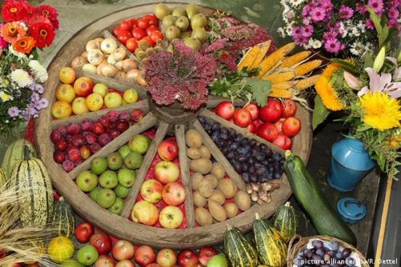 أسعار الخضراوات اليوم 1 أكتوبر في سوق العبور