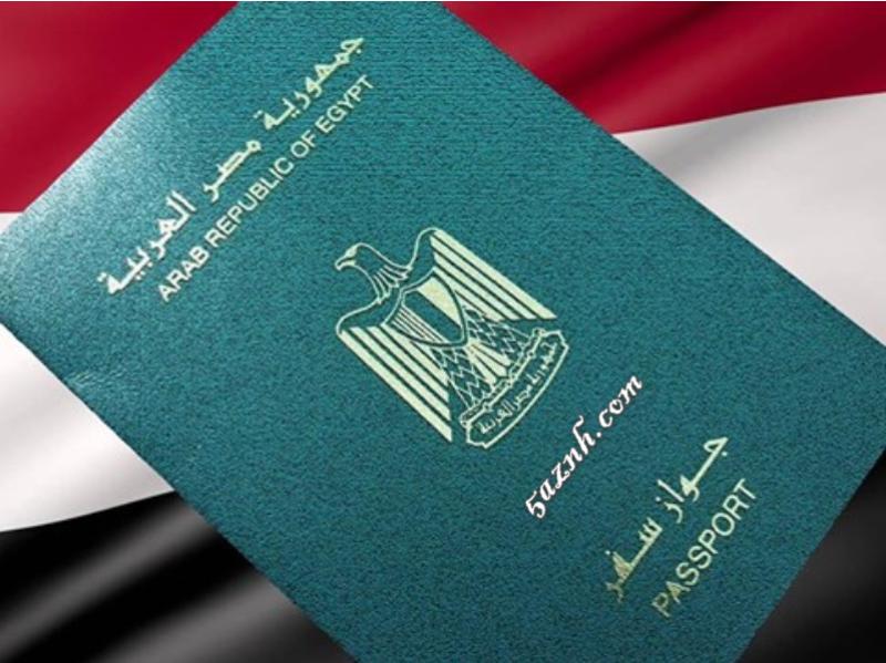 بالتفاصيل.. خطوات إجراءات تجديد جواز السفر عبر الإنترنت .