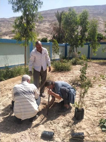 زراعة 596 شجرة في حدائق ثان المنتزه بالإسكندرية ضمن المبادرة الرئاسية