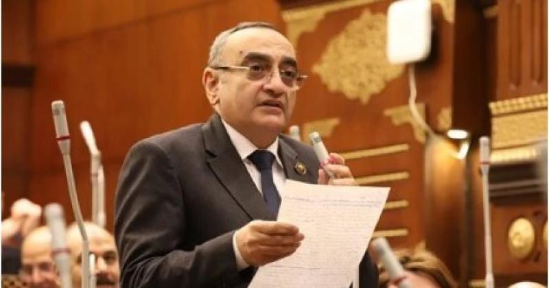 النائب حاتم حشمت رئيس الهيئة البرلمانية لحزب حماة وطن