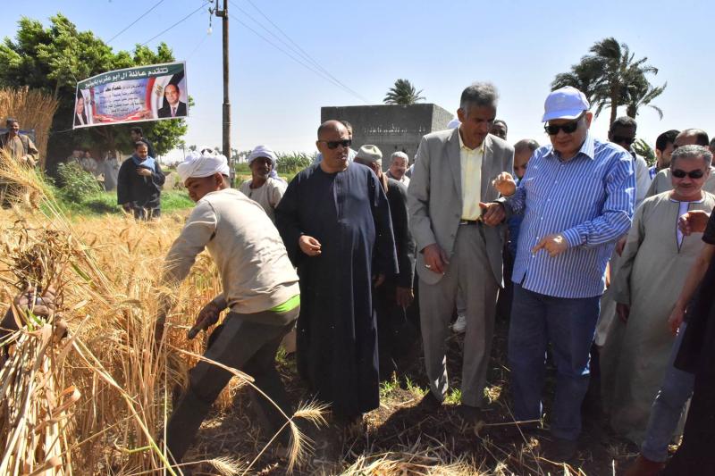 محافظ المنيا يُعلن توريد 372 ألف طن من محصول القمح بجميع المراكز