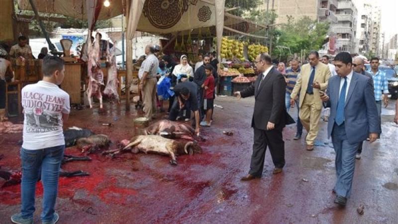 3 آلاف جنيه غرامة ذبح الأضاحى فى شوارع الجيزة خلال العيد