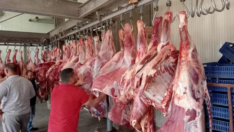 حملات مكثفة على محال الجزارة وشوادر الذبح للتأكد من سلامة اللحوم بالفيوم