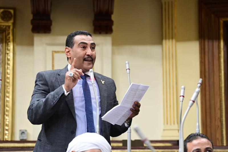 النائب محمد الجبلاوي يتقدم بطلب إحاطة بشأن تلوث مياه القصير