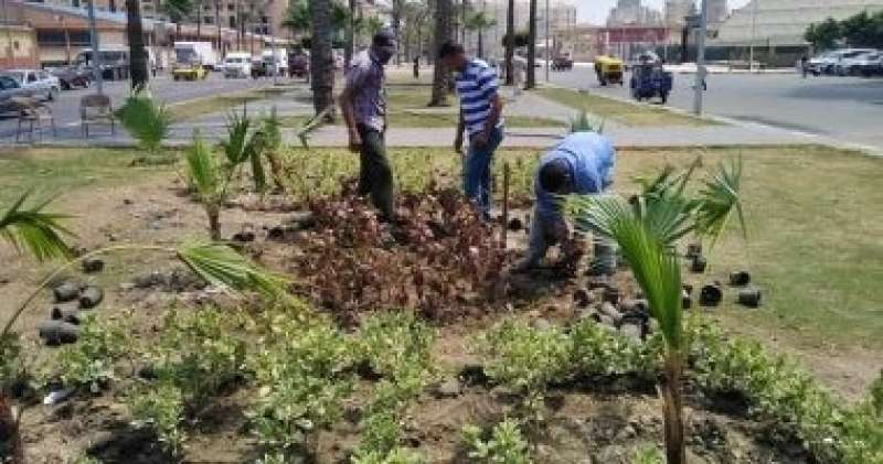 وزارة البيئة: المبادرة الرئاسية 100 مليون شجرة انتهت من زراعة ٩٥٠ ألف شجيرة