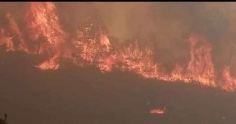 تونس: تضرر 80 هكتارا من الغابات ولا خسائر بشرية فى حرائق بنزرت