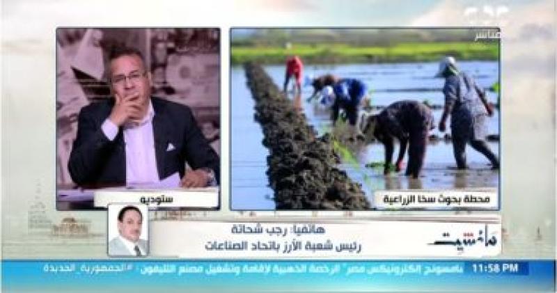 مداخلة رجب شحاتة رئيس شعبة الأرز باتحاد الصناعات