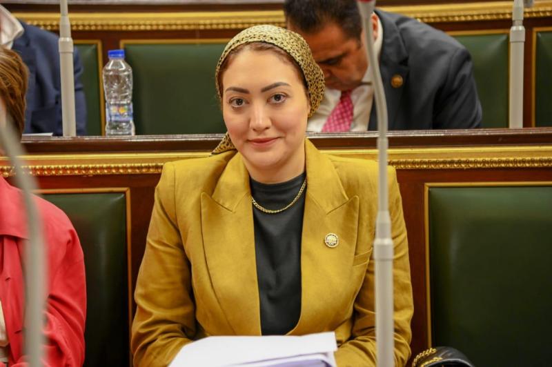 النائبة أسماء الجمال، عضو مجلس النواب