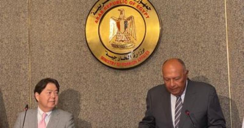وزير خارجية اليابان: مصر شريك مهم للغاية خاصة دورها في إرساء السلام بالمنطقة