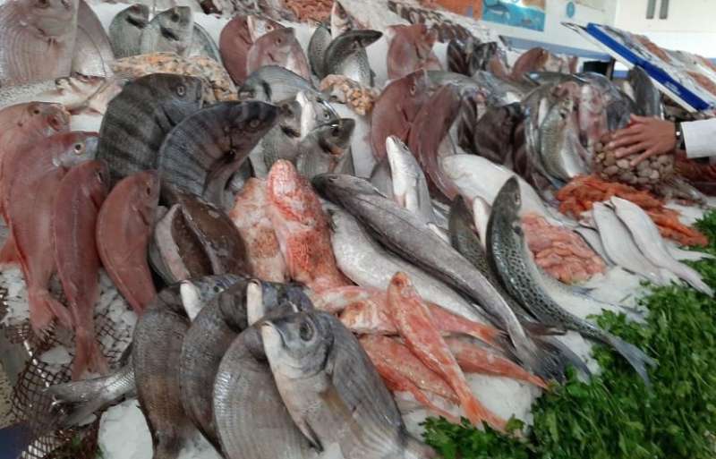 أسعار الأسماك في السوق اليوم السبت 16 سبتمبر 2023