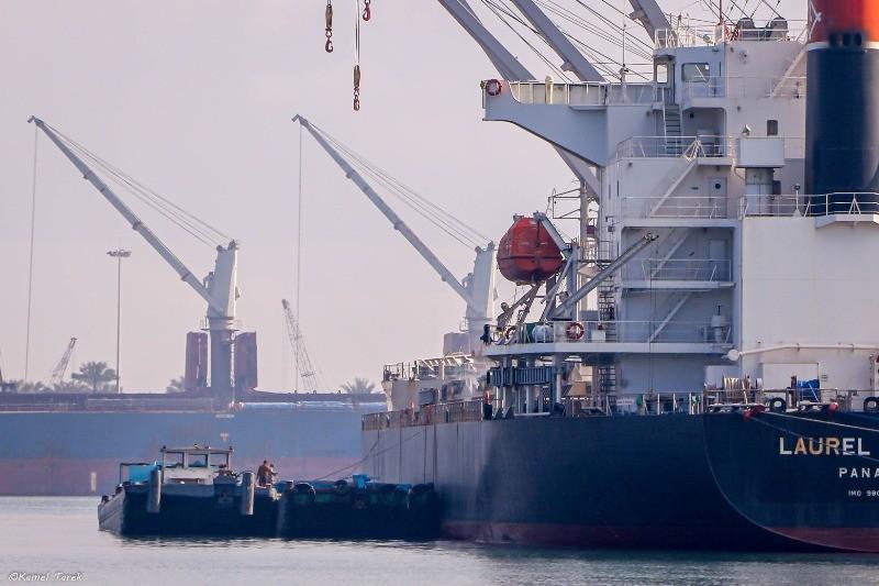 تداول بضائع وحاويات 11 سفينة متنوعة في ميناء دمياط