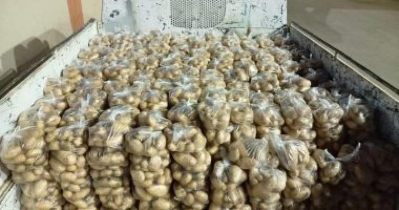 المركزي للإحصاء :176.5 مليون دولار صادرات مصر من البطاطس