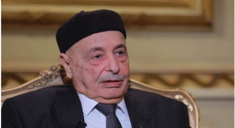 رئيس مجلس النواب الليبي، عقيلة صالح