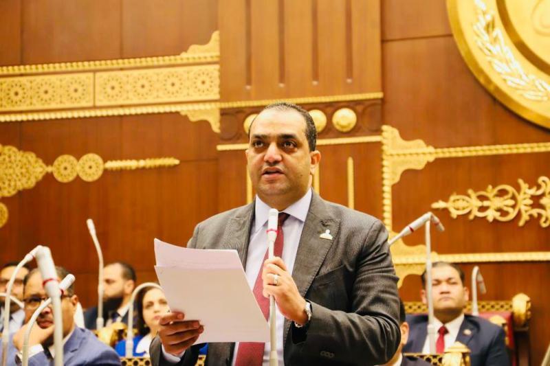 النائب محمد سعيد الدابى عضو مجلس الشيوخ