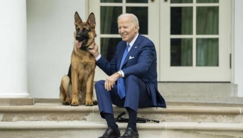استبعاد كلب الرئيس الأمريكي من البيت الأبيض إلى الأبد