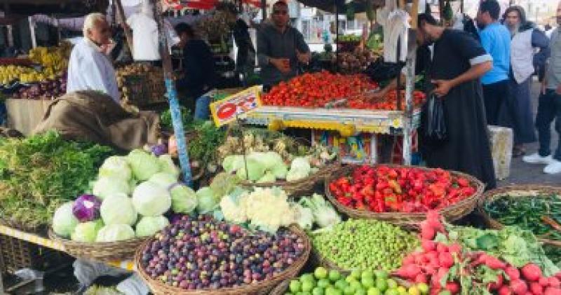 شعبة الخضروات: انخفاض أسعار البصل والكيلو بـ 20 جنيها