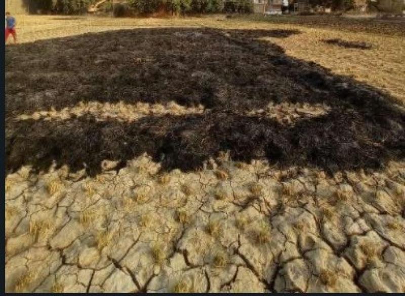 وزيرة البيئة توجه بالتواصل مع الدفاع المدني ومديرية الزراعة للسيطرة على حريق للمخلفات الزراعية ببلبيس