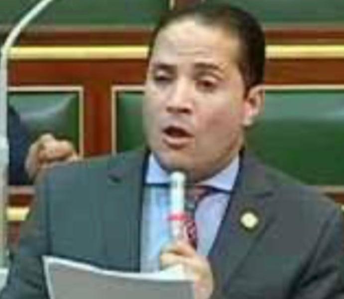برلماني  : كلمة السيسي تؤكد قدرة وجاهزية مصر  لحماية أراضيها وأمنها القومي