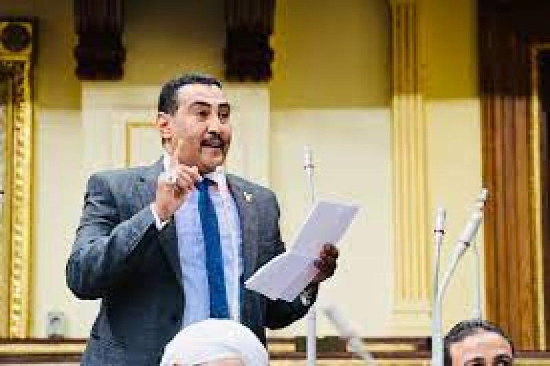 محمد الجبلاوي عضو لجنة الطاقة والبيئة بمجلس النواب 