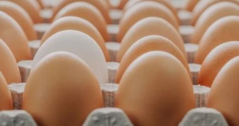 أسعار البيض في الأسواق اليوم 16 يناير الثلاثاء