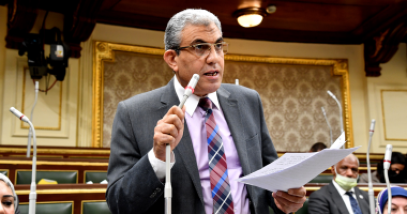 عادل عبد الفضيل رئيس النقابة العامة للعاملين بالمالية والضرائب والجمارك
