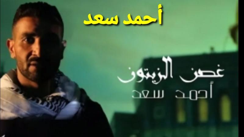 400 ألف مشاهدة لأغنية أحمد سعد ”غصن الزيتون” تضامنًا مع فلسطين
