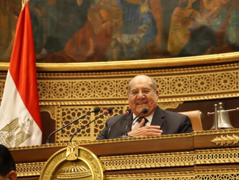عبد الوهاب عبد الرازق، رئيس مجلس الشيوخ