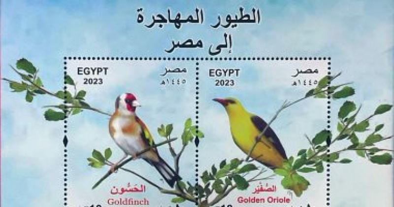 بطاقة بريد تذكارية لبعض الطيور المهاجرة