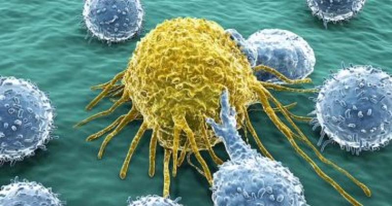 علماء يحددون مفتاح قتل السرطان