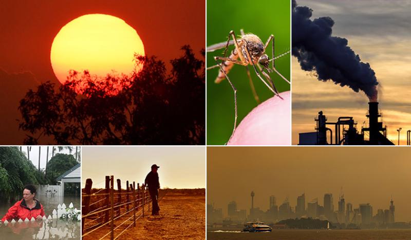 علماء من أنحاء العالم يُطالبون باتخاذ إجراء لاعتبار أزمة المناخ حالة طوارئ صحية
