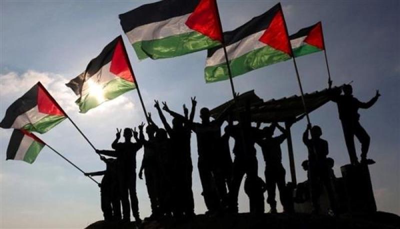 خبير علاقات دولية: الخطوات المصرية واضحة وثابتة تجاه القضية الفلسطينية