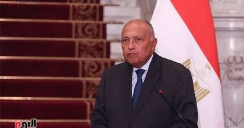 وزير الخارجية: مصر لديها علاقات استراتيجية مع أمريكا ونعمل لوقف الحرب على غزة