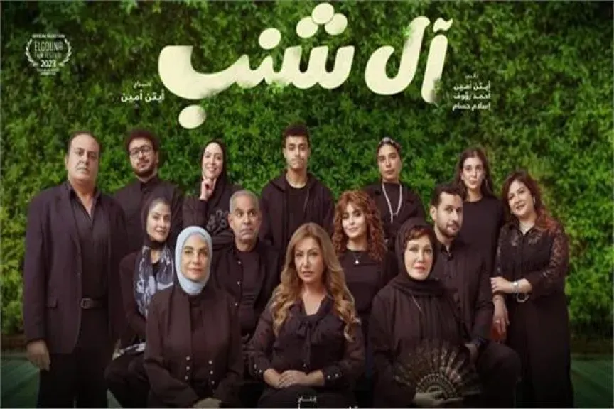 فيلم آل شنب يحصد أمس 413 ألفًا و891 جنيهًا فى أول أيامه بالسينما