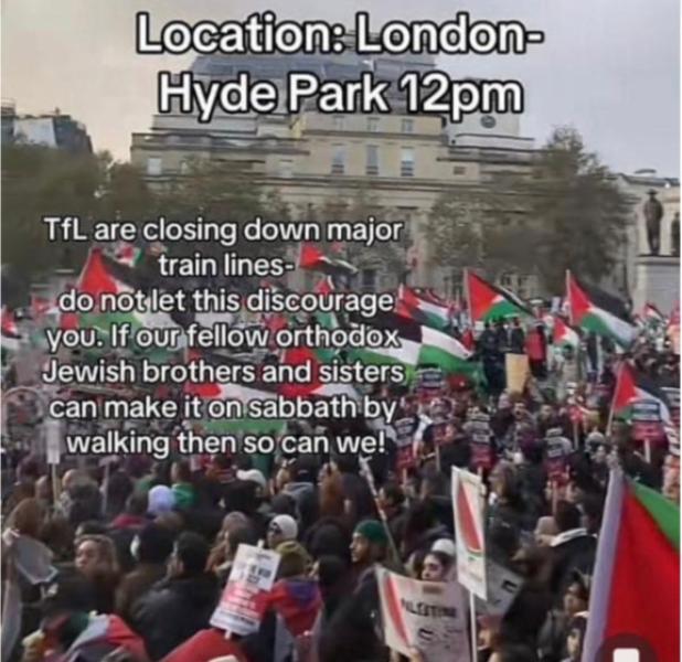 شرطة لندن تحذر من استهداف مسيرات تأييد فلسطين من قبل مجموعات احتجاج مناهضة