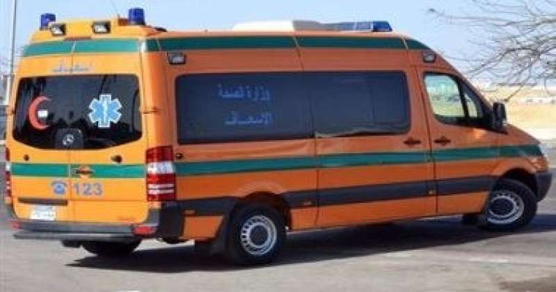 مصرع 14 شخصا وإصابة 2 فى حادث تصادم سيارة نقل وميكروباص على صحراوي المنيا