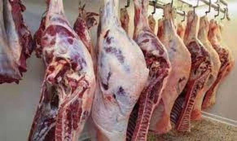 الغرفة التجارية تكشف تطورات أسعار اللحوم في الأسواق