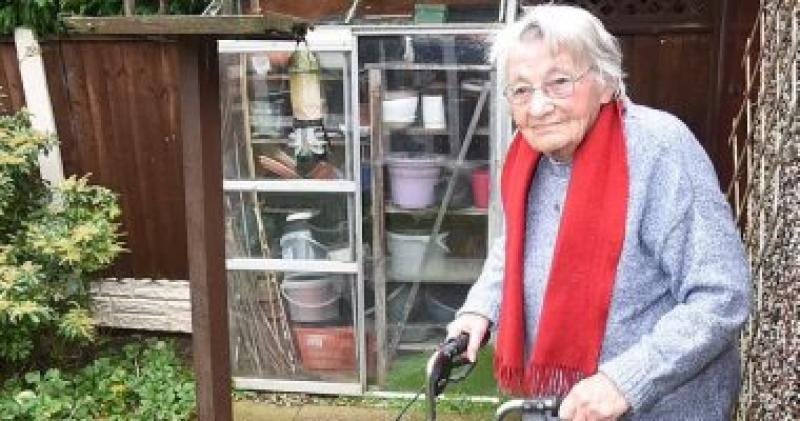 عجوز بريطانية مهددة بغرامة مالية لإطعامها الطيور فى حديقة منزلها
