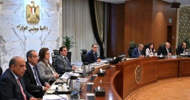 الحكومة: 55 مشروعا ونشاطا قائما بين مصر ودول بريكس ونستهدف 235 مشروعا