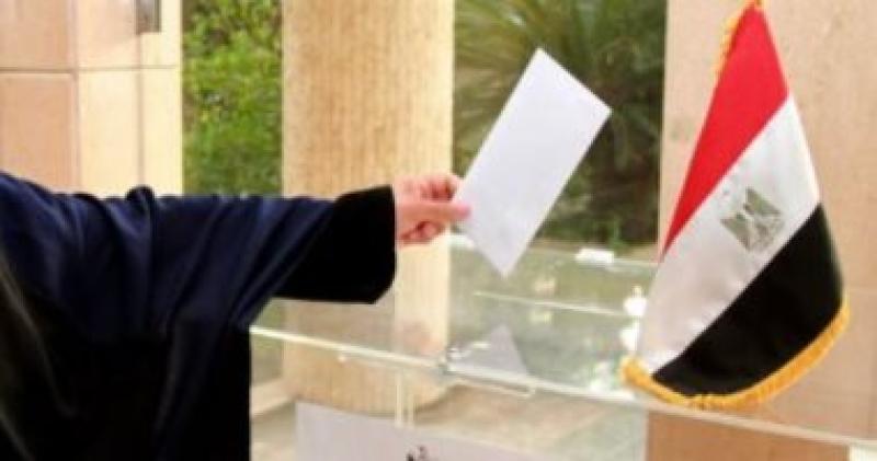 سفير مصر بتشاد: التصويت يسير بانتظام والجالية حريصة على المشاركة