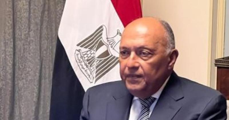 وزير الخارجية يُؤكد لرئيس لجنة الشئون الخارجية بمجلس النواب الأمريكي رفض مصر القاطع لتهجير الفلسطينيين