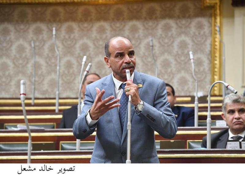 برلمانى : فوز الرئيس السيسى بأغلبية كاسحة فى الانتخابات تعبير عن وعى المصريين
