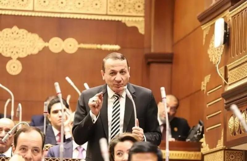 أيمن عبد المحسن : السياحة أهم مصادر الدخل القومي المصري