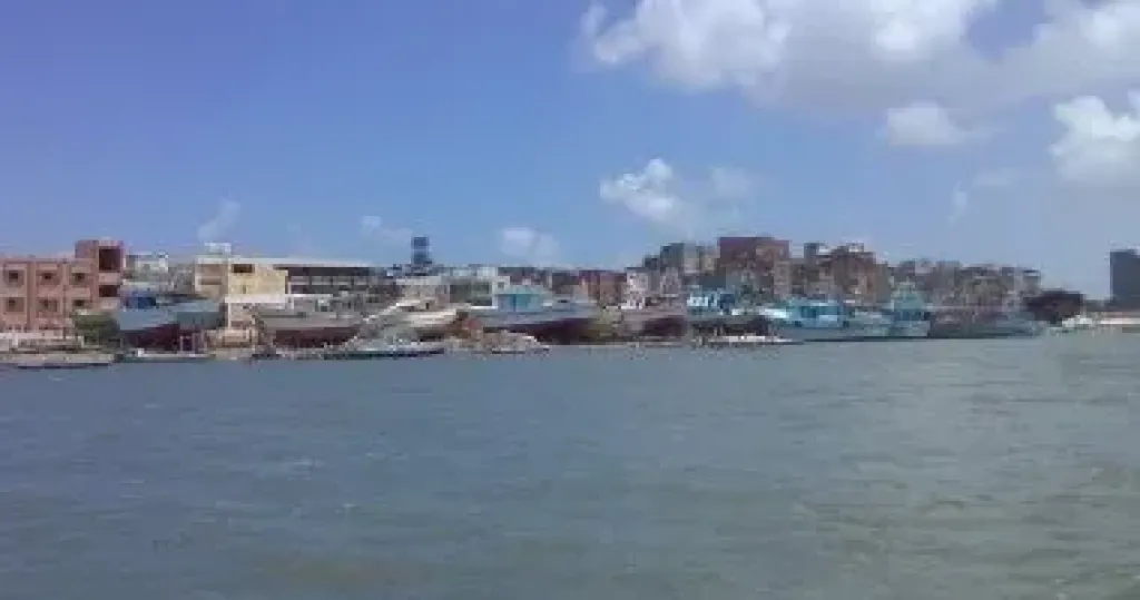 محافظ كفرالشيخ: عودة حركة الملاحة واستئناف رحلات الصيد بميناء البرلس