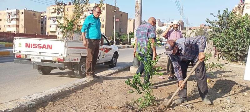 زراعة 622 شجرة ونبتة في الإسكندرية ضمن المبادرة الرئاسية